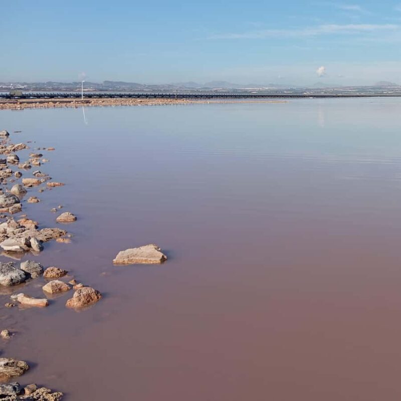 Alicante/Torrevieja: Excursion to Tabarca by ferry, Santa Pola, and Laguna Rosa - Who Would Love This Tour?
