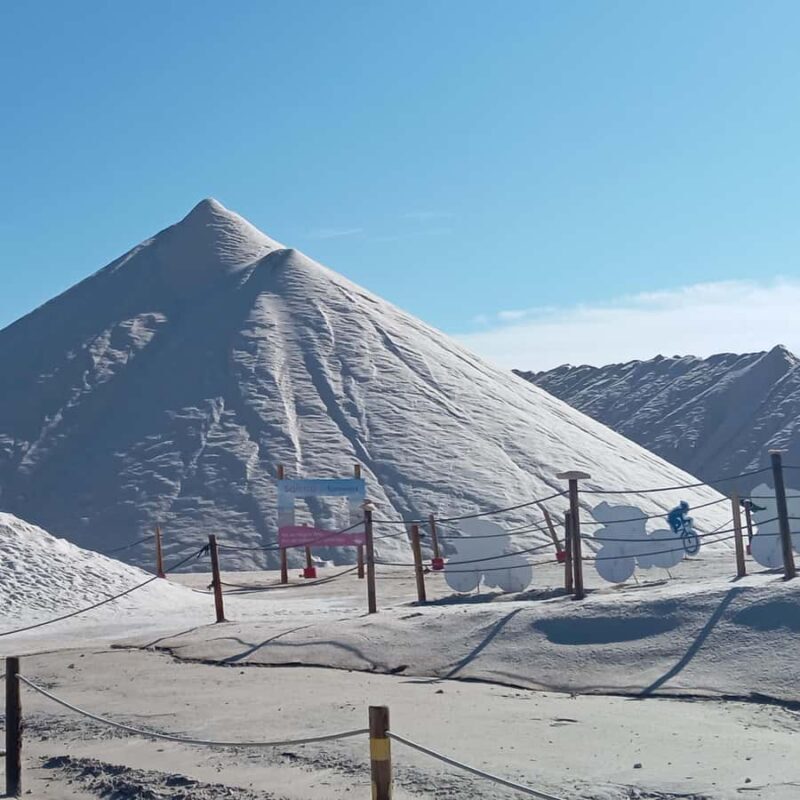 Alicante/Torrevieja: Excursion to Tabarca by ferry, Santa Pola, and Laguna Rosa - FAQ