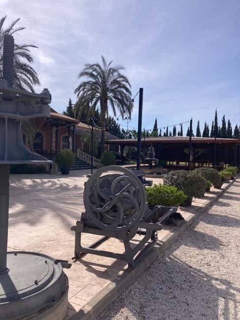 Alicante: Wine tasting tour with transfer - Key Points