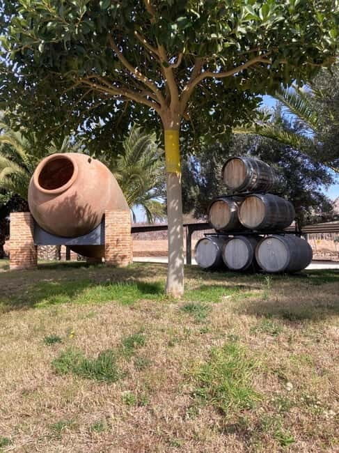 Alicante: Wine tasting tour with transfer - Exploring the Details: What to Expect from the Tour