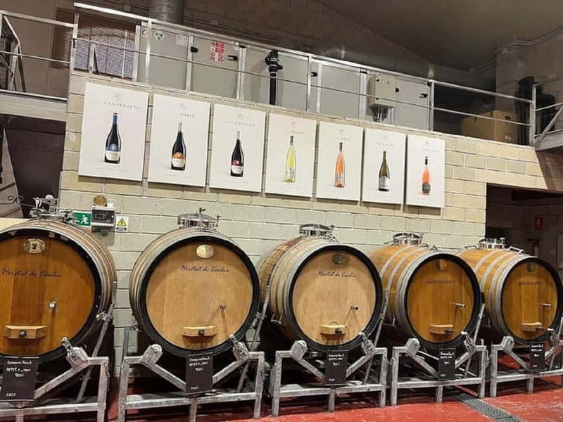 Alicante: Wine tasting tour with transfer - Frequently Asked Questions