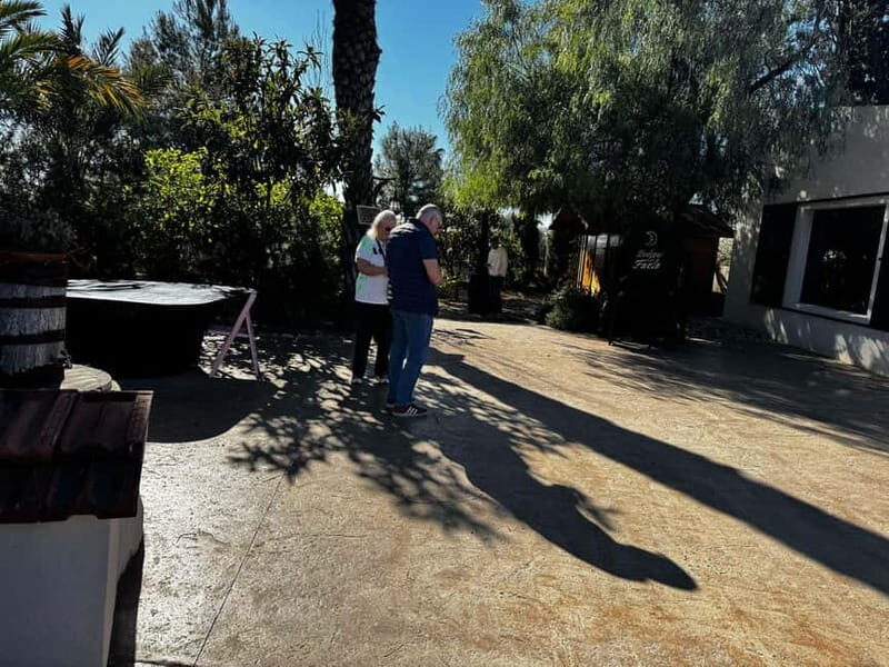 Alicante; Wine Tour Wineries, Food, and Transportation Included - Key Points