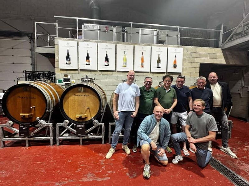 Alicante; Wine Tour Wineries, Food, and Transportation Included - An In-Depth Look at the Alicante Wine Tour