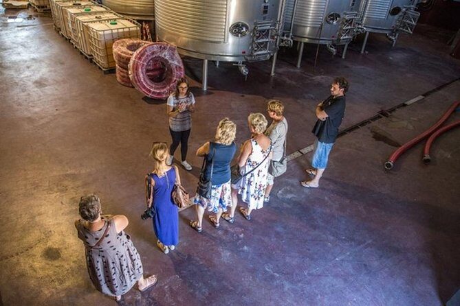 Alicante Wine Tour with Wine Tasting - An authentic introduction to Alicante’s wine traditions