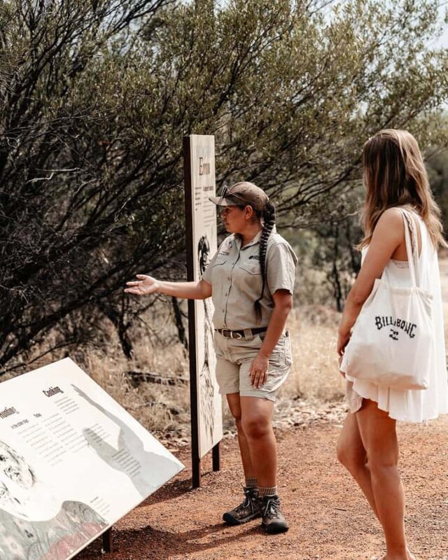 Alice Springs: Desert Park Entry Ticket - Key Points