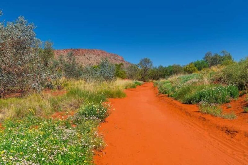Alice Springs: Desert Park Entry Ticket - Final Thoughts