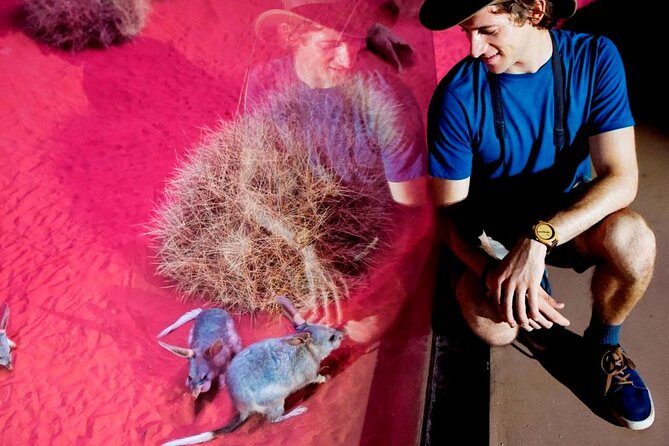 Alice Springs Desert Park General Entry Ticket - What to Expect at Alice Springs Desert Park