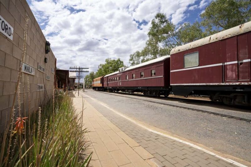 Alice Springs: Red Centre Journey Tour with Morning Tea - Who Will Love This Tour?