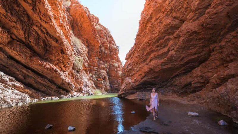 Alice Springs: Town Highlights and West MacDonnell Ranges - Introduction to the Tour Experience