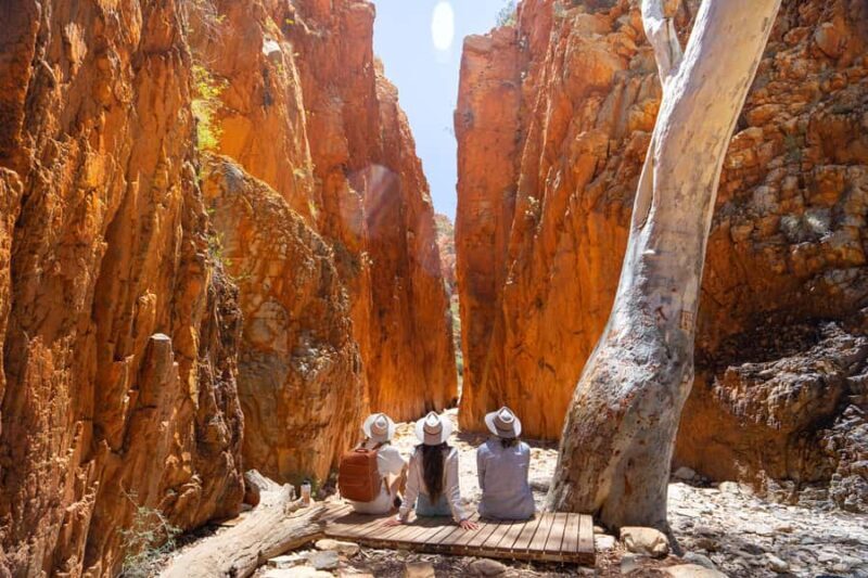 Alice Springs: West MacDonnell Ranges Day Tour with Lunch - Key Points
