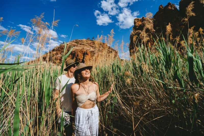 Alice Springs: West MacDonnell Ranges Day Tour with Lunch - Practical Tips for Travelers