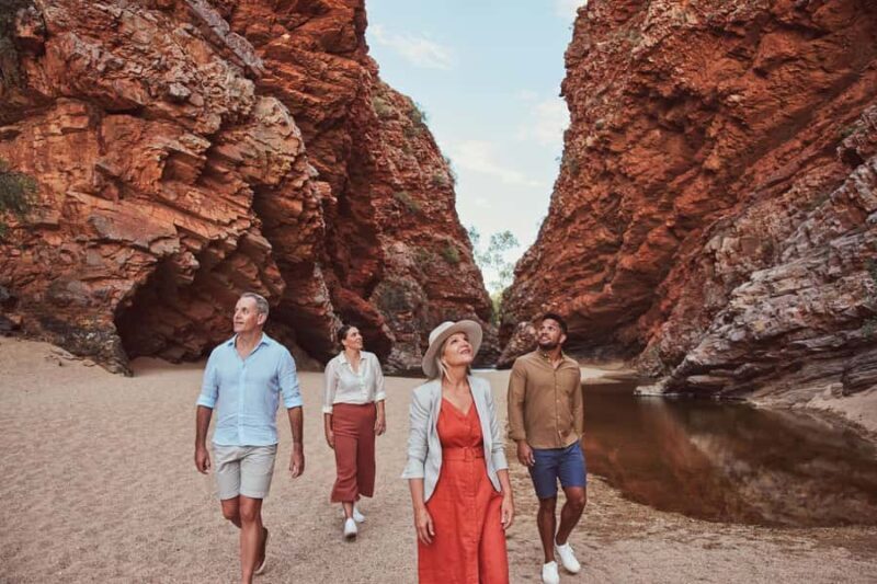 Alice Springs: West MacDonnell Ranges & Standley Chasm Tour - Real Experiences from Other Travelers