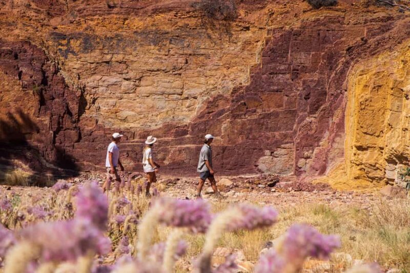 Alice Springs: West MacDonnell Ranges & Standley Chasm Tour - Final Thoughts
