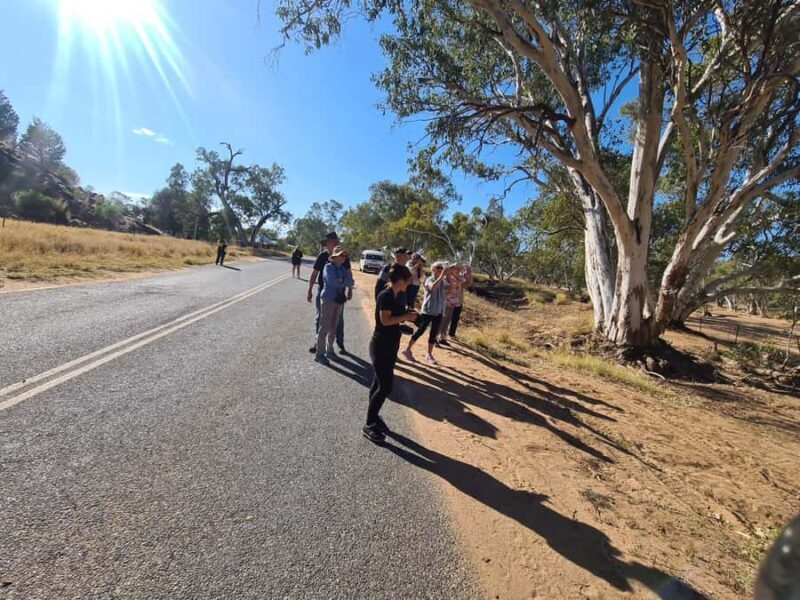 Alice Town and Country Half Day Sunset Tour -Small Group - What Travelers Say