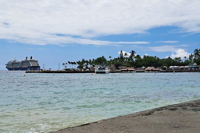 Ali'i Private Tour in Luxury Van - Who Would Love This Tour?