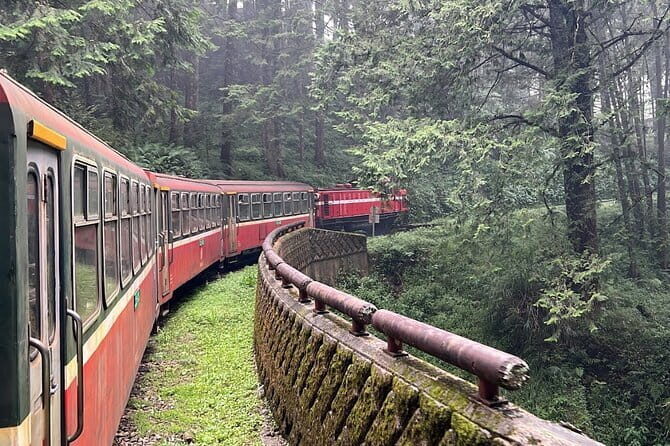 Alishan Day Tour from Kaohsiung (Incl. Park Entrance) - What Makes This Tour Stand Out?