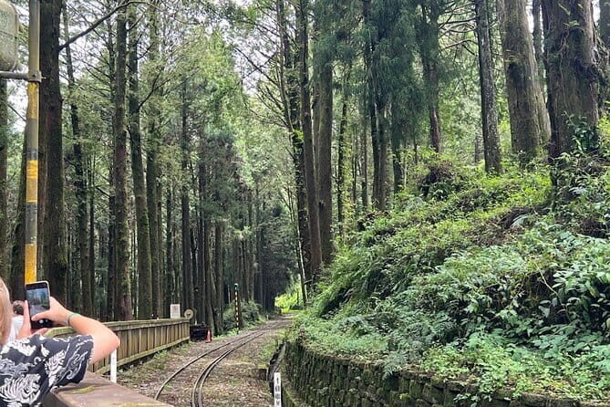 Alishan Day Tour from Kaohsiung (Incl. Park Entrance) - Detailed Breakdown of the Itinerary