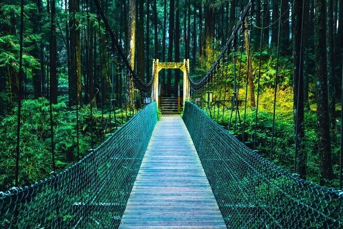 Alishan Join In Day Tour from Taichung (Incl. Park Entrance) - A Closer Look at the Tour Experience
