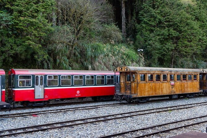 Alishan Join In Day Tour from Taichung (Incl. Park Entrance) - Authentic Insights from Travelers