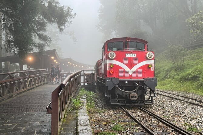 Alishan National Forest Recreation Area Ticket - Who Should Book This Experience?
