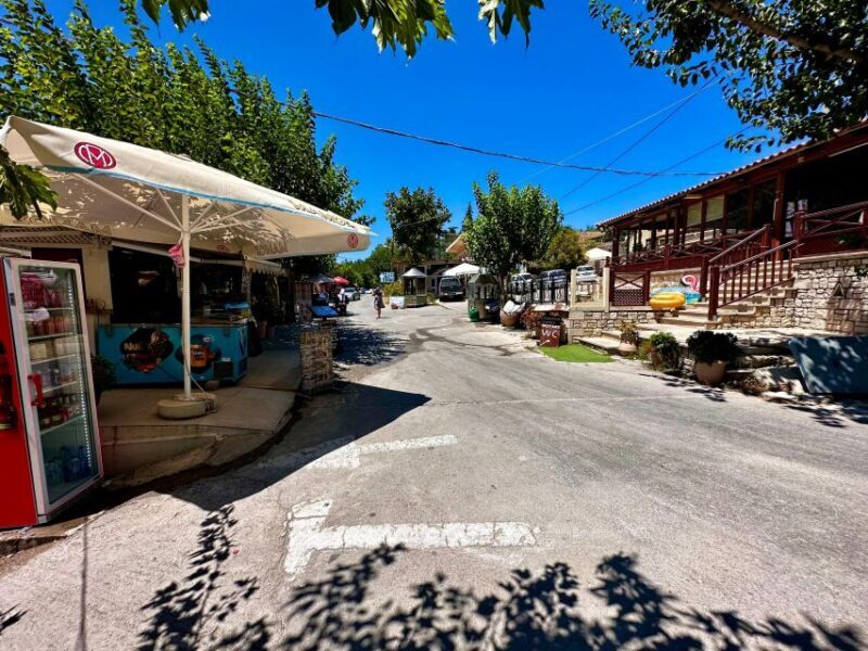 All Day Family Tour to Rethymno & Kournas Lake | JMP Tours - What to Know Before You Book