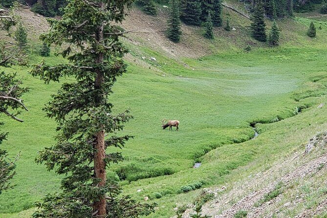 All Day Rocky Mountain National Park to Grand Lake Tour - Exploring the Itinerary in Detail