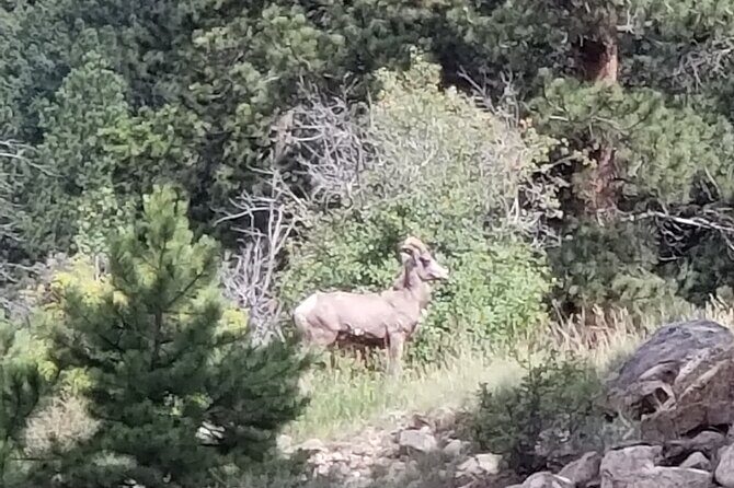 All Day Rocky Mountain National Park to Grand Lake Tour - Final Thoughts