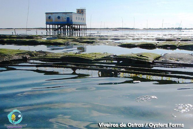 All Day Route in Fuseta - An In-Depth Look at the Itinerary