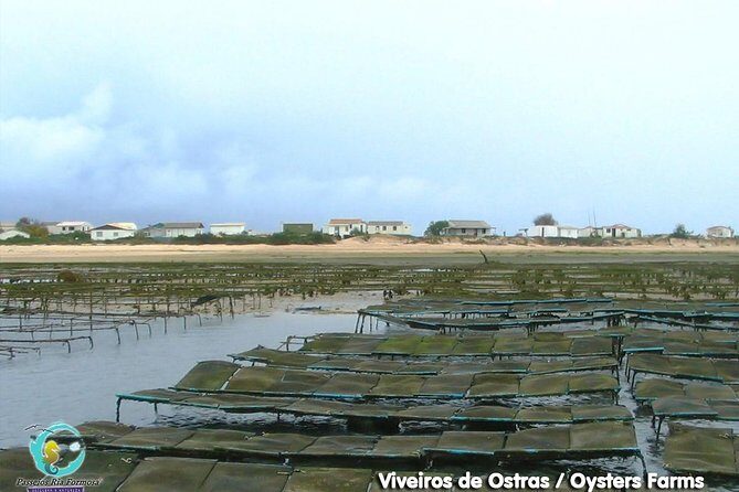 All Day Route in Fuseta - Who Will Love This Tour?