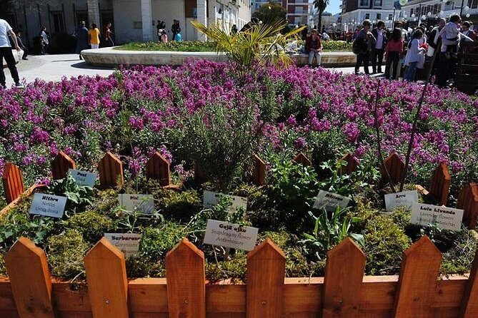 All Day Tour of Përmet - Authentic Insights from Reviewers