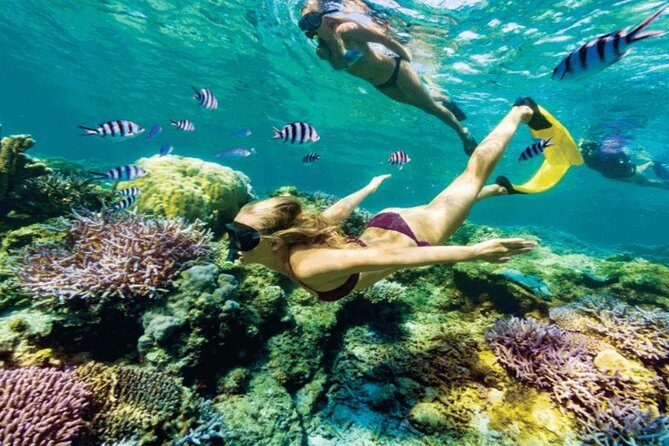 (ALL- IN) Bali Snorkeling Blue Lagoon And Tanjung Jepun - The Itinerary: What You Can Expect