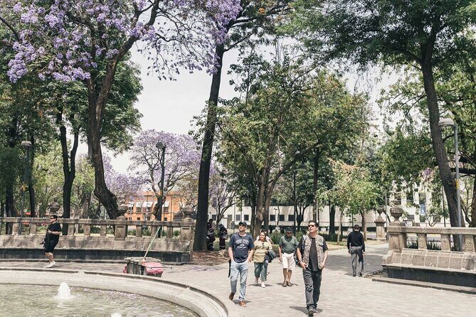 All-in-one CDMX adventure - A stroll through the park: Relax and enjoy local life