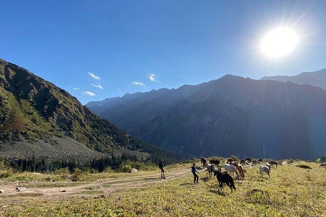 All in one-day: Bishkek city tour and Ala-Archa National Park - FAQs