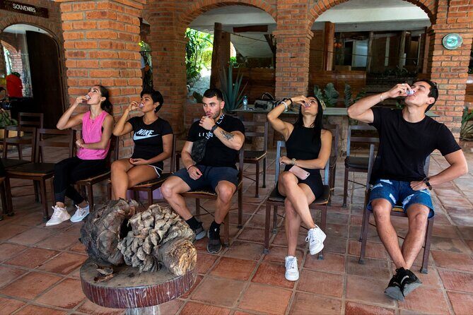 All-in-one PV Experience: Suspension bridge, Quads, Buggies, Ziplines and Mules - The Sum Up: Who Should Consider This Tour?