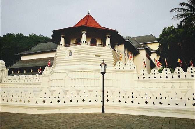 All in one Sri lanka 7nights 8 days for couple price - Final Thoughts