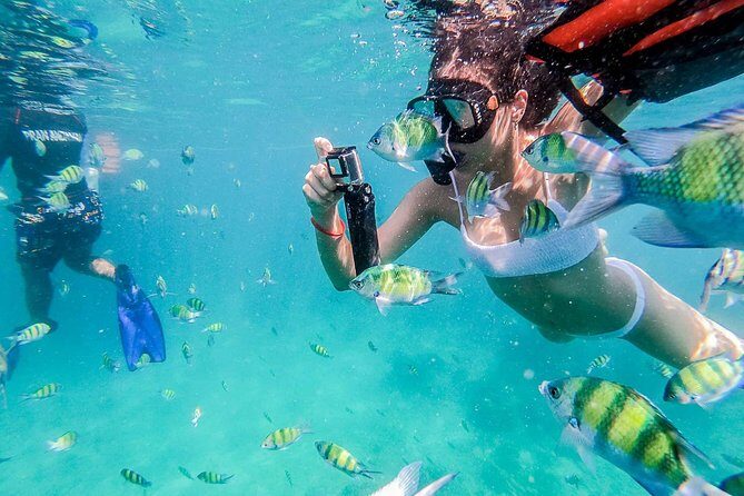 All-in Phi Phi, Maiton, MayaBay, Khai, Bamboo islands Tour - Exploring the Itinerary in Detail