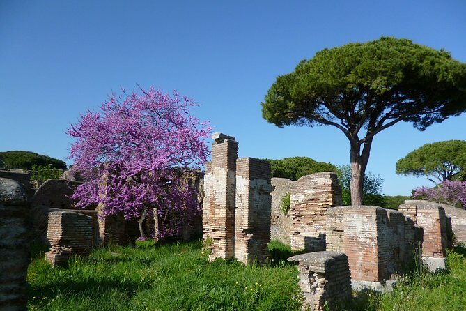 All-included Guided Tour of Ancient Ostia from Rome with Hotel Pickup & Drop Off - Frequently Asked Questions