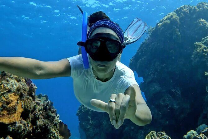 All inclusive 4 Hour Luxury Catamaran Charter in Riviera Maya - FAQ