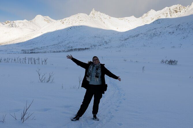 All-Inclusive Arctic Fjords and Sommarøy Scenic Tour - Final Thoughts: Who Will Love This Tour?