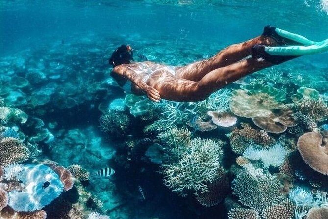 All Inclusive : Bali Blue Lagoon Snorkeling, Lunch, and Transport - The Itinerary in Detail: What You Can Expect