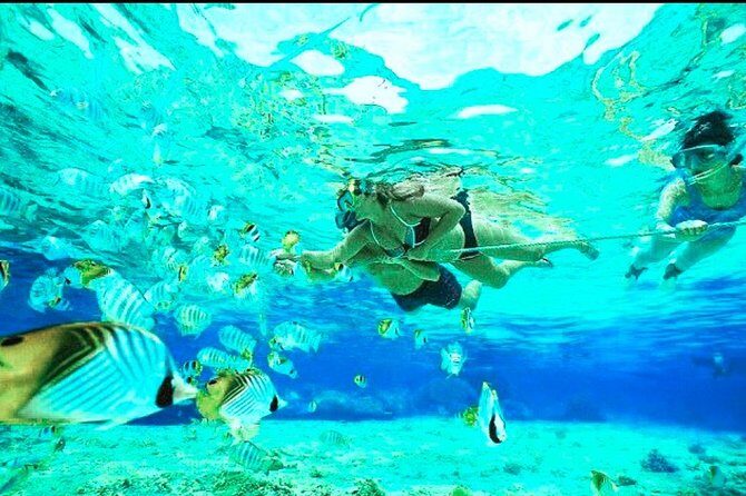 All Inclusive : Bali Blue Lagoon Snorkeling, Lunch, and Transport - Potential Drawbacks & Considerations