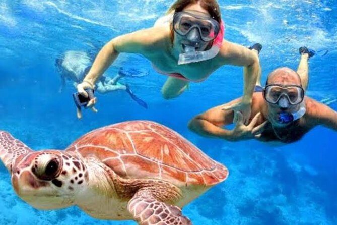 All Inclusive Bali Blue Lagoon Snorkeling with Lunch and Transport - In-Depth Look at the Tour Experience