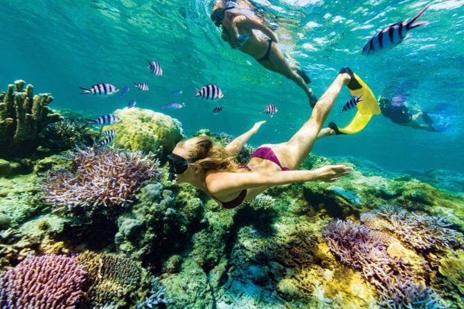 All Inclusive Bali Blue Lagoon Snorkeling with Lunch and Transport - Practical Details That Matter