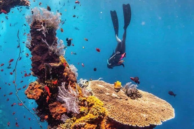 All Inclusive Bali Scuba Diving at Tulamben with Lunch -Transport - Introduction to the Bali Scuba Tour