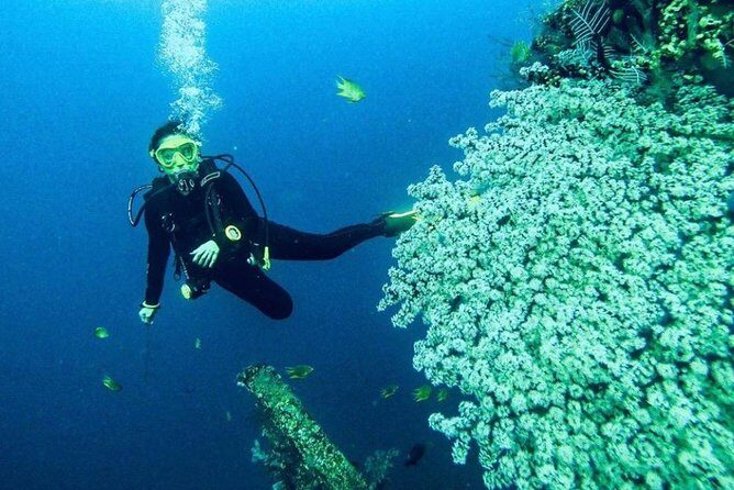 All Inclusive Bali Scuba Diving at Tulamben with Lunch -Transport - The Sum Up