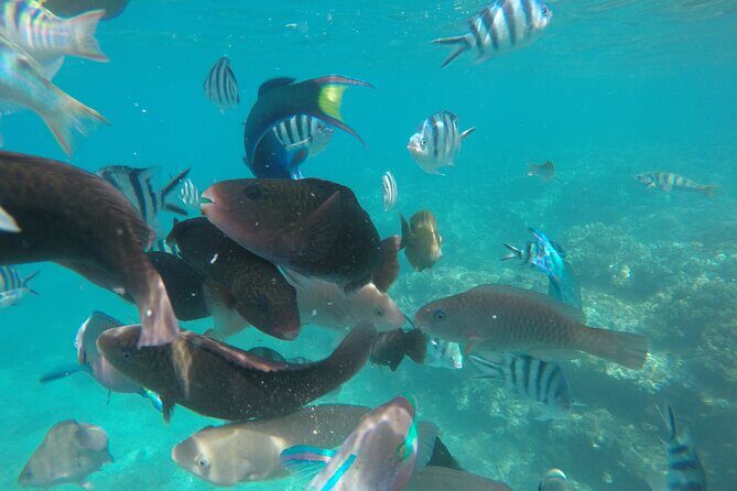 All Inclusive Bali Snorkeling Blue Lagoon with Gate Heaven - A Close Look at the Day’s Itinerary