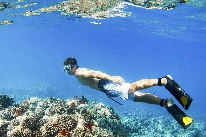 All Inclusive Blue Lagoon Snorkeling with Bali ATV Quad Adventure - Key Points
