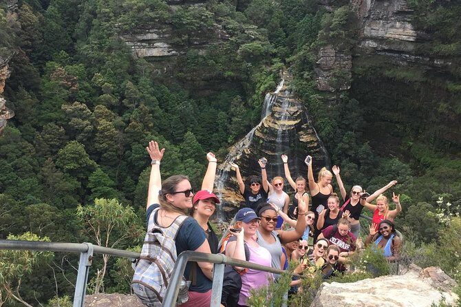 All Inclusive Blue Mountain,Scenic World,Lunch,Koalas,ferry - The Sum Up: Is This Tour Right for You?