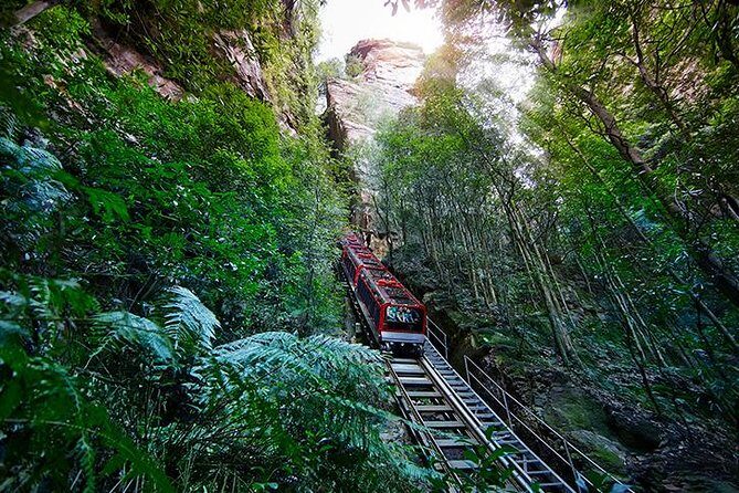 All Inclusive Blue Mountain,Scenic World,Lunch,Koalas,ferry - FAQs
