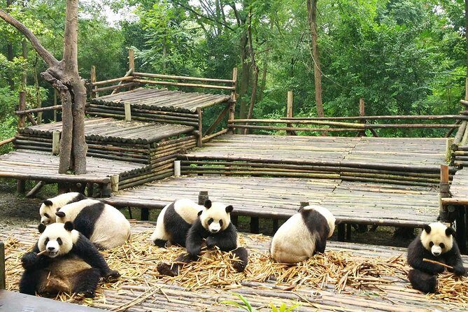All Inclusive Boutique Tour of Chengdu Highlights - Final Thoughts: Is It Worth It?